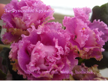 ��-��������� �������