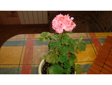 Kesgrave.(���� ���������) ������