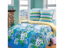 9600-1 Grafskij park s kompanonom.jpg