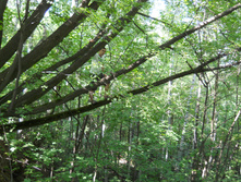 DSCN1576.JPG