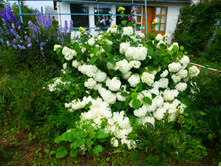 ��������� �����������, 90 ���.