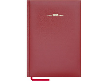 ���������� ������������ 2016�., �5, 176�., ��������, Derby, �����-������� 175,2.jpg