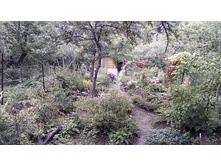 IMG 20150702 190050.jpg