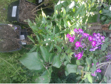 ����� 2015�.