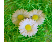 ������� - 60 ���.