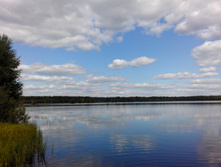 IMG 20150822 125202.jpg