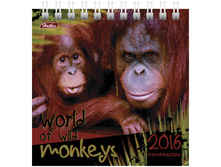 ���������-����� �������- ��� ����� �������, �� ������, 2016 �. 20,5.jpg