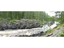 ���� ����� 2.jpg