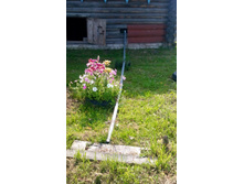 IMG 20150810 110024.jpg