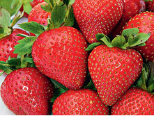 �������� ���''c ������ ���� 74 ���.jpg