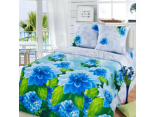 Gercog s komp-zima-leto.jpg