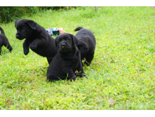 ������� � ������ � �������