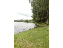 IMG 20150818 122943.jpg