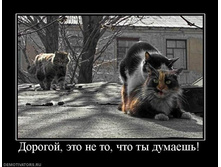 Dorogoj-eto-ne-to-chto-tyi-dumaesh.jpg
