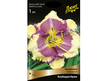 �������� �������� ����.jpg