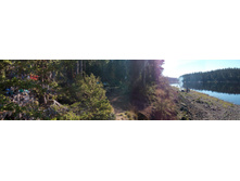 IMG 20150821 104308.jpg