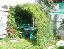 16.08.2015 P8160152.JPG