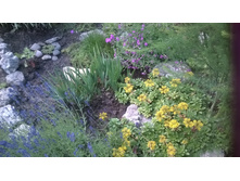 WP 20150704 15 08 14 Smart.jpg