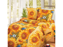 4299 Solnyshko iz byazi 150.jpg