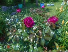 DSCN0738.JPG