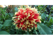 №3 ����� ����.jpg