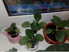 ��������� ������