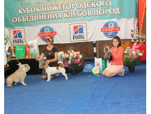 1-IMG 7009.JPG