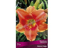 �������� ������ �����.jpg