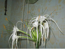 ������������, ���ԣ� ���� ��� ������.