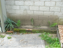 11.07.2015 P7110059.JPG