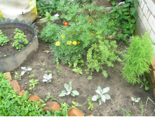 11.07.2015 P7110065.JPG