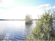 ���� �������.