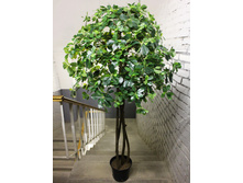 180/��/84 - 8100