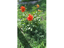 ������ 2015�.