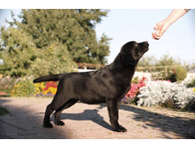 11898734 10153521704429512 5744462436781151163 n.jpg