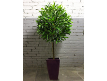 180/�/188 ���� - 6270