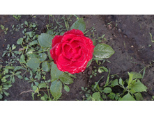 2015-08-24-457.jpg