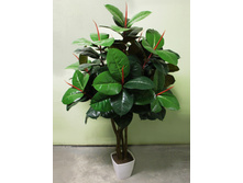 170/��/186 - 6300