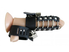 ���� �������� �������