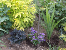 ������ � �������������.jpg