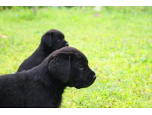 ������� No1 � No2