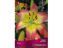 ����� �������� ����.jpg