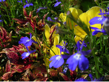 DSCN4058.JPG