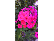 �������� ��������.jpg