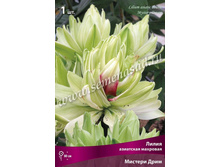 ����� ������� ����.jpg