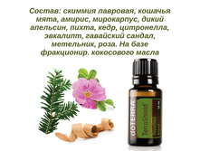 TerraShield ������������ �����