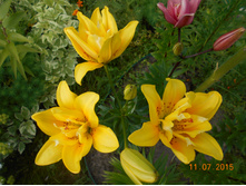 DSCN1068.JPG