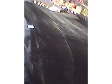 10-����� ��������� Toyota Corolla (������ �������-���������� ����� +������-2500.jpg