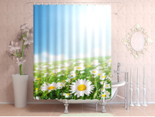 ���������� ����.jpg