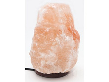 ������� ����� Wonder Life  5-7 �� 1201�